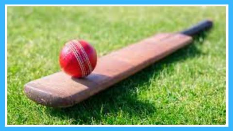 Cricket